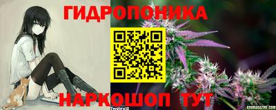молекула духа Краснокаменск