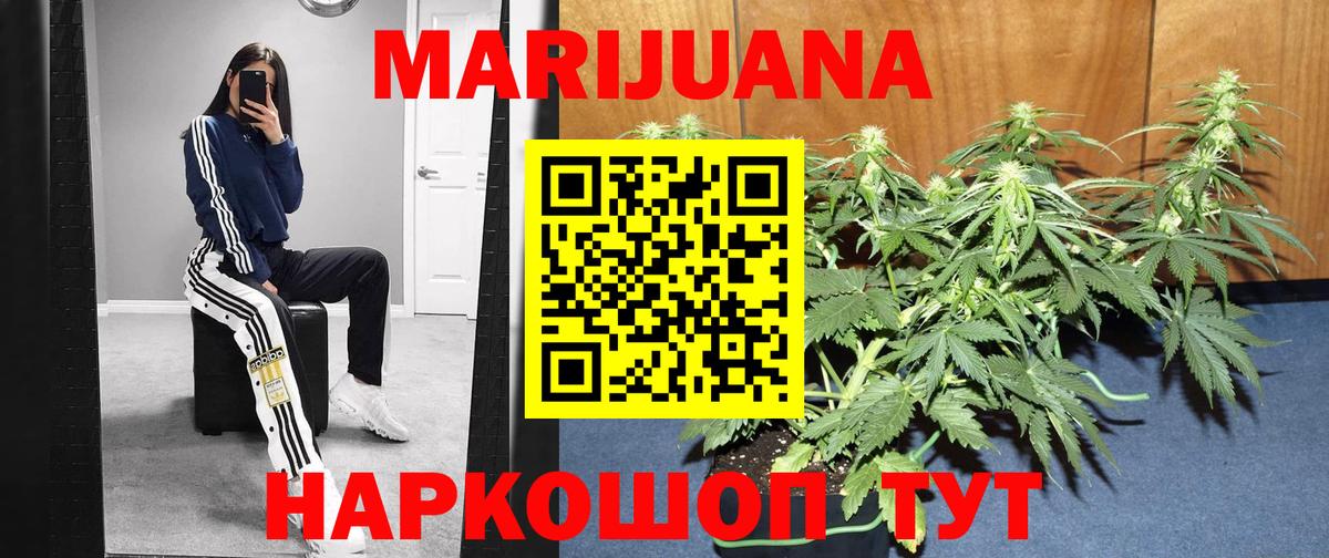 Бошки марихуана Ganja  Вход с VPN  Бошки марихуана план  Карачаевск  Бошки марихуана индика 